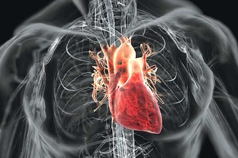 Protege Tu Corazón: Hábitos Que Lo Están Matando Lentamente