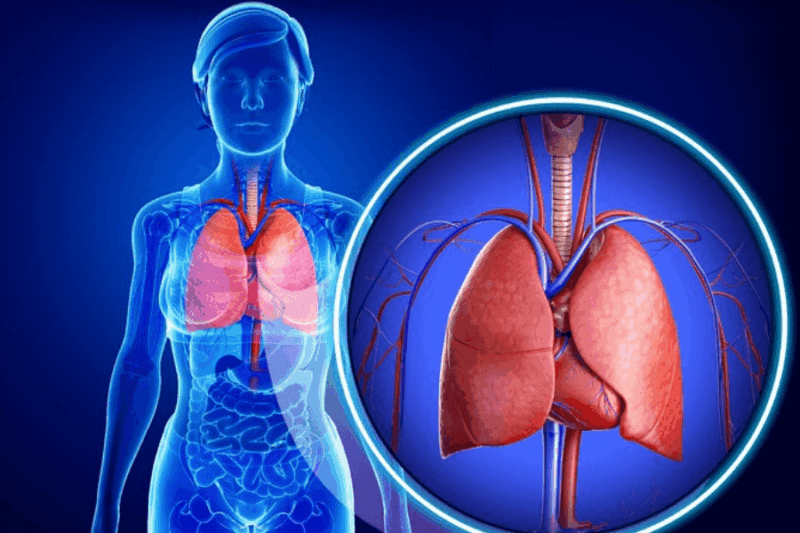 La Técnica De Respiración Que Reaprende Tu Cuerpo a Recuperarse Rápido